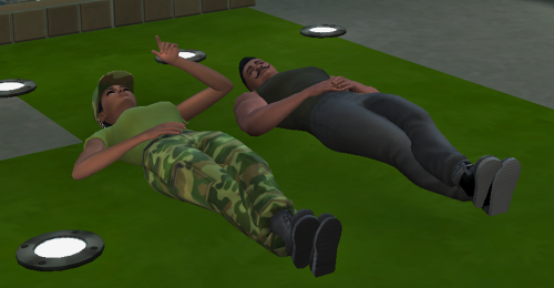 8.png 8.png