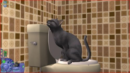 Sims2EP9 2020-11-12 21-24-50-72.jpg