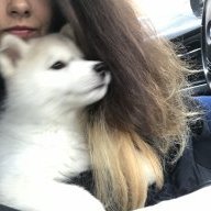Ann_Shk