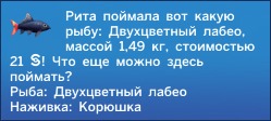 3007174.jpg