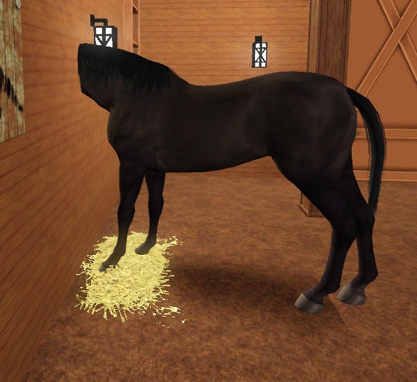 3018741.jpg