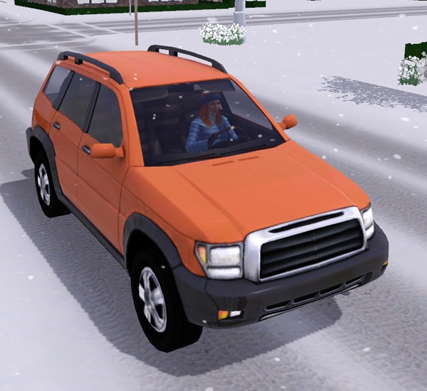 3224003.jpg