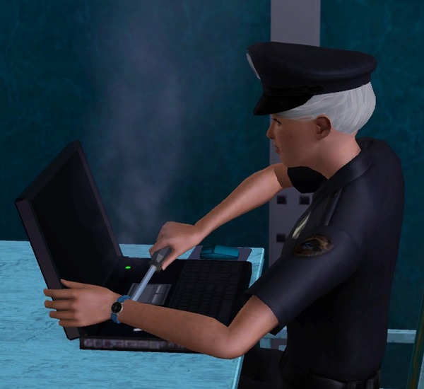 3017899.jpg