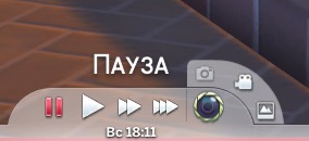 3492331.jpg