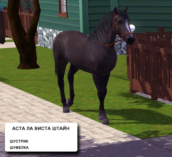 2942358.jpg
