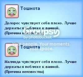 6_zps7c95d802.jpg