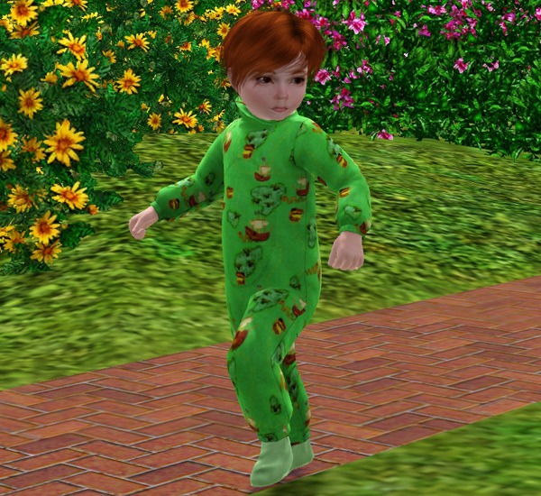 3092859.jpg