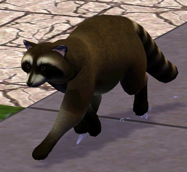 2957182.jpg