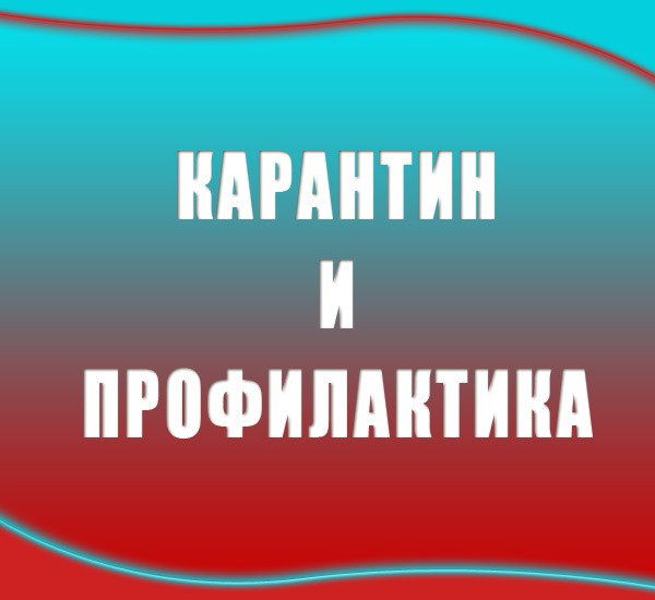 2927602.jpg