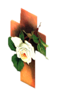 3450115.gif